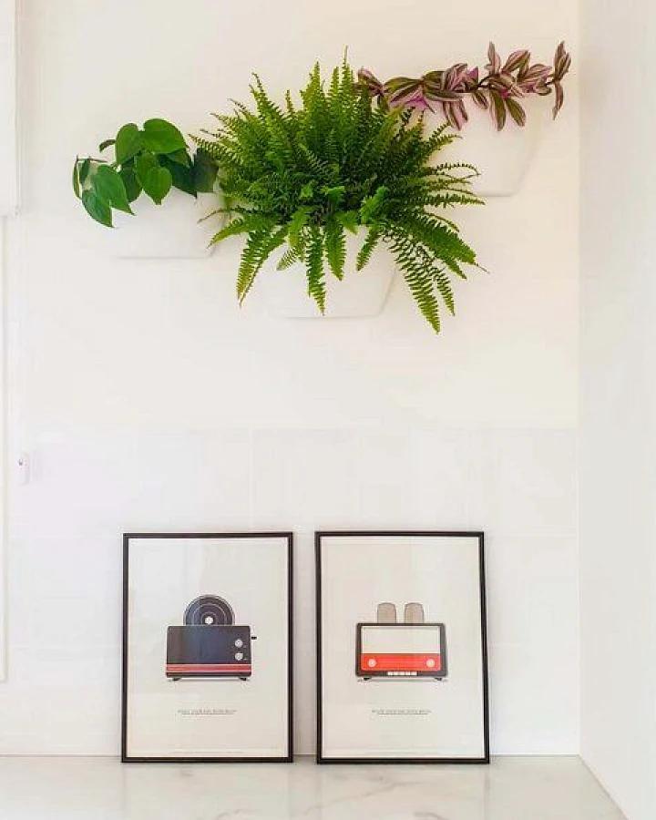 CitySens 3er-Pack Wand-Blumentopf mit automatischer Bewässerung