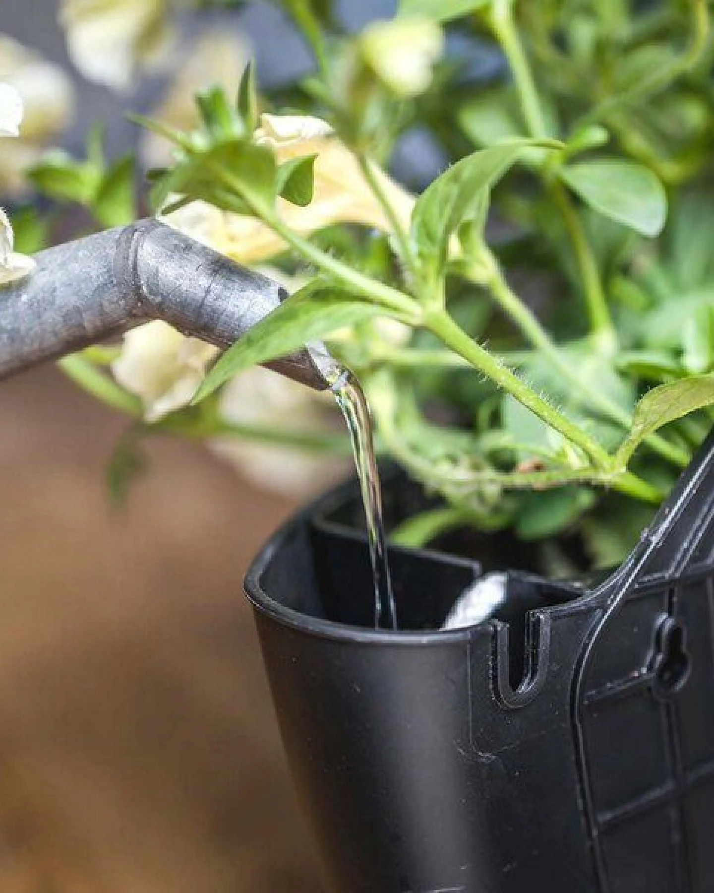 CitySens 3er-Pack Wand-Blumentopf mit automatischer Bewässerung – Ansicht 3
