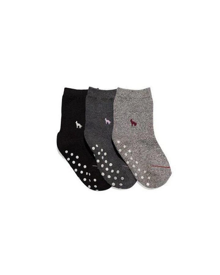 Conscious Step Kindersocken Box für Hundeliebhaber_innen