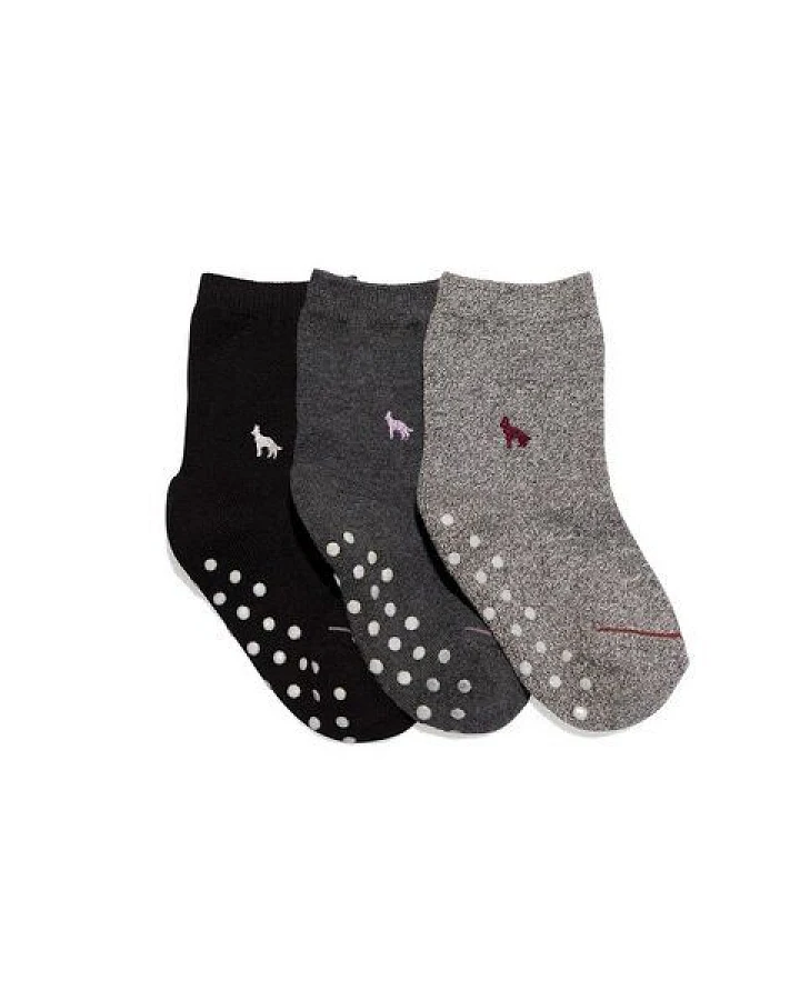 Conscious Step Kindersocken Box für Hundeliebhaber_innen