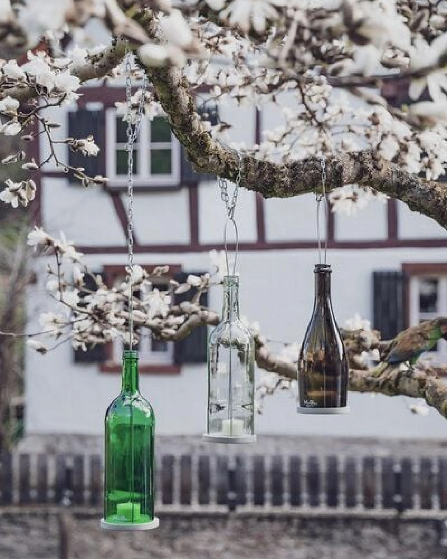 MaBe hängeWINDLICHT® aus der Sektflasche - witzige Geschenkidee – Ansicht 3