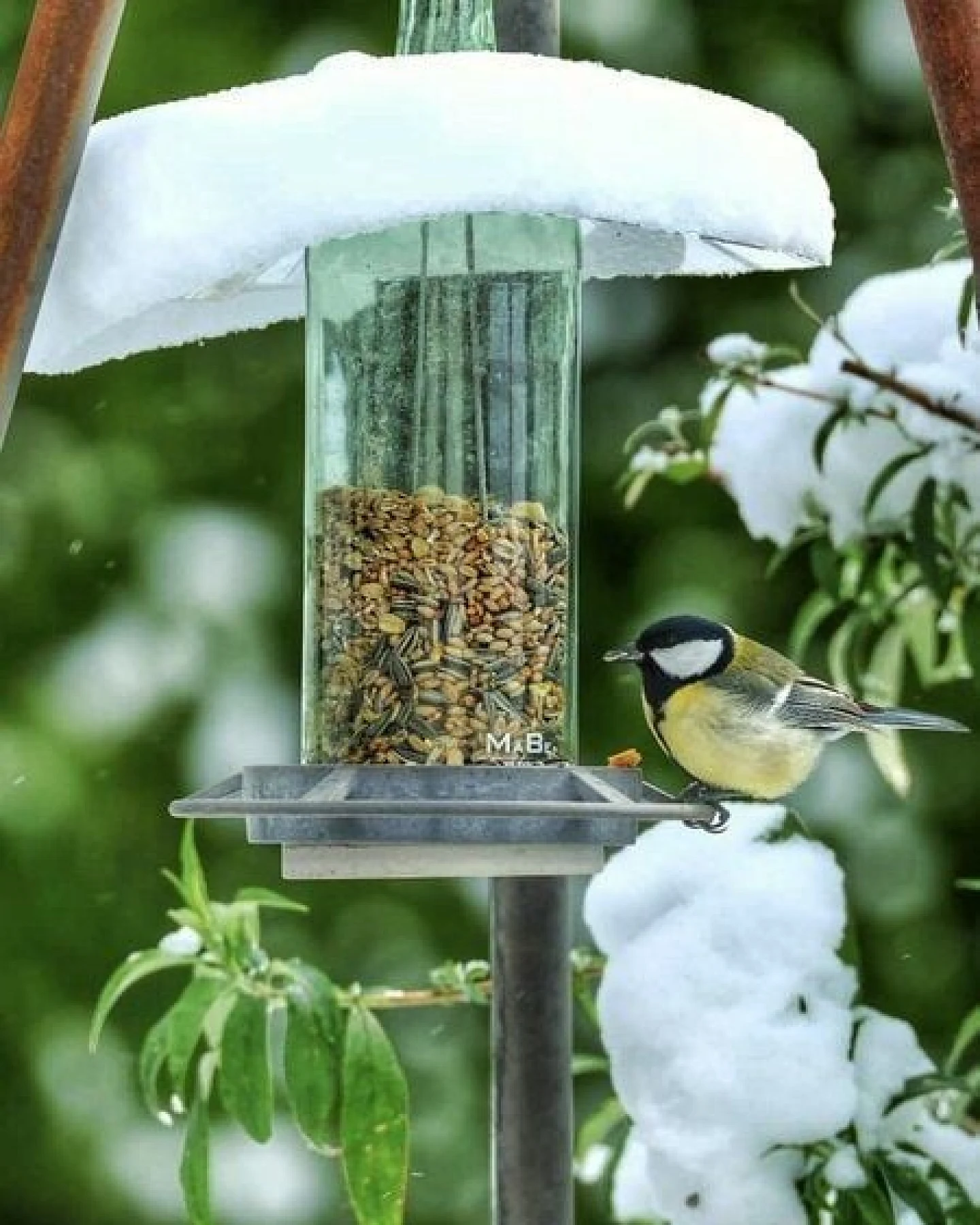 MaBe Vogelfutterstelle + hängeWINDLICHT + WINDLICHT - für den Gartenfreund – Ansicht 2