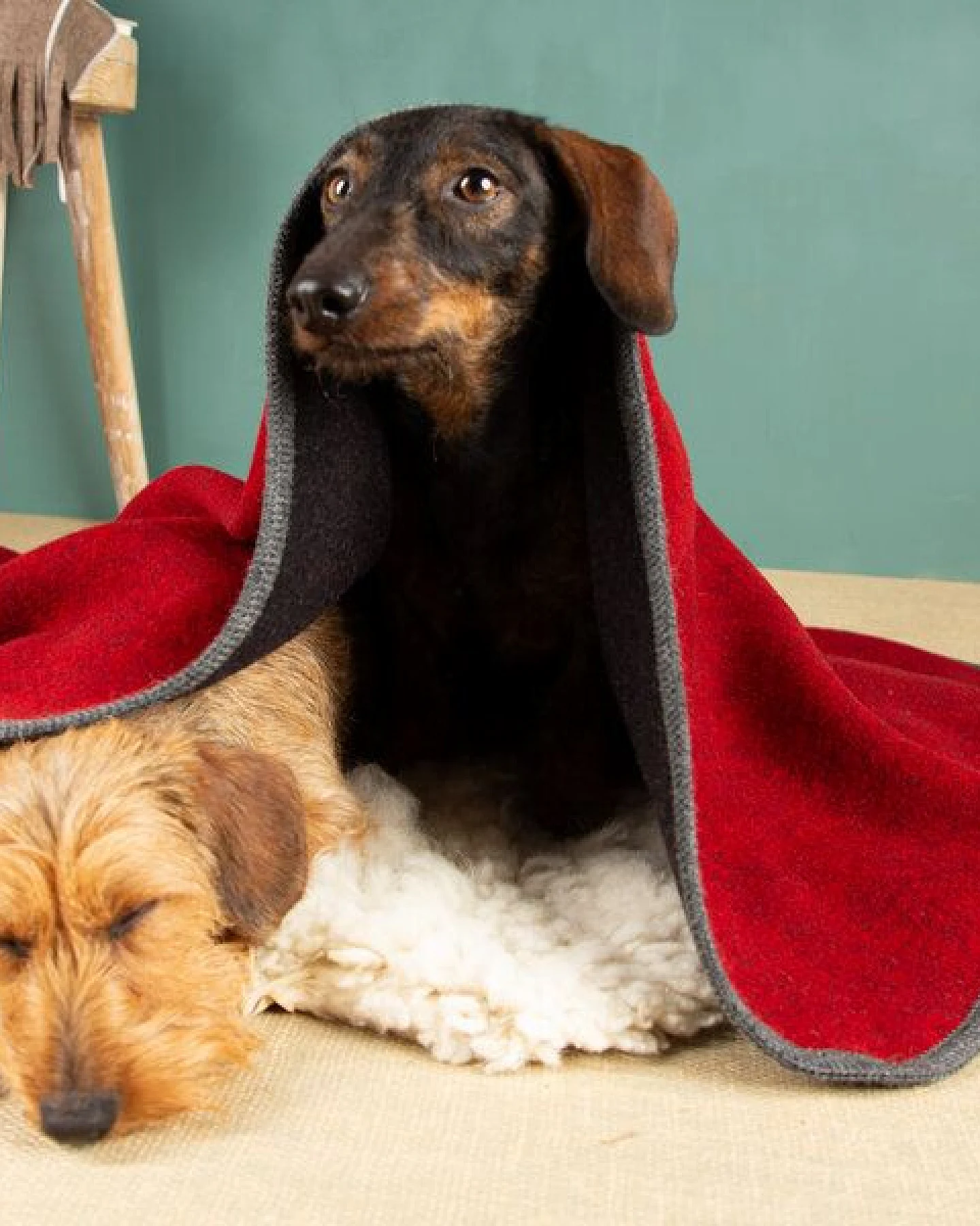 nahtur-design Hundedecke – Ansicht 3