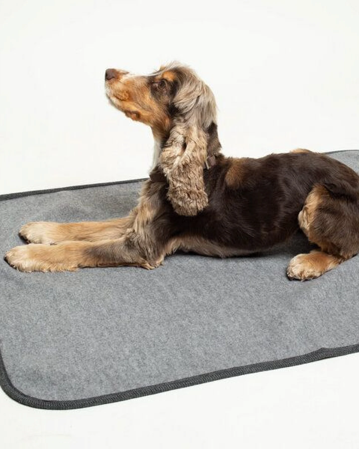 nahtur-design Hundedecke – Ansicht 3