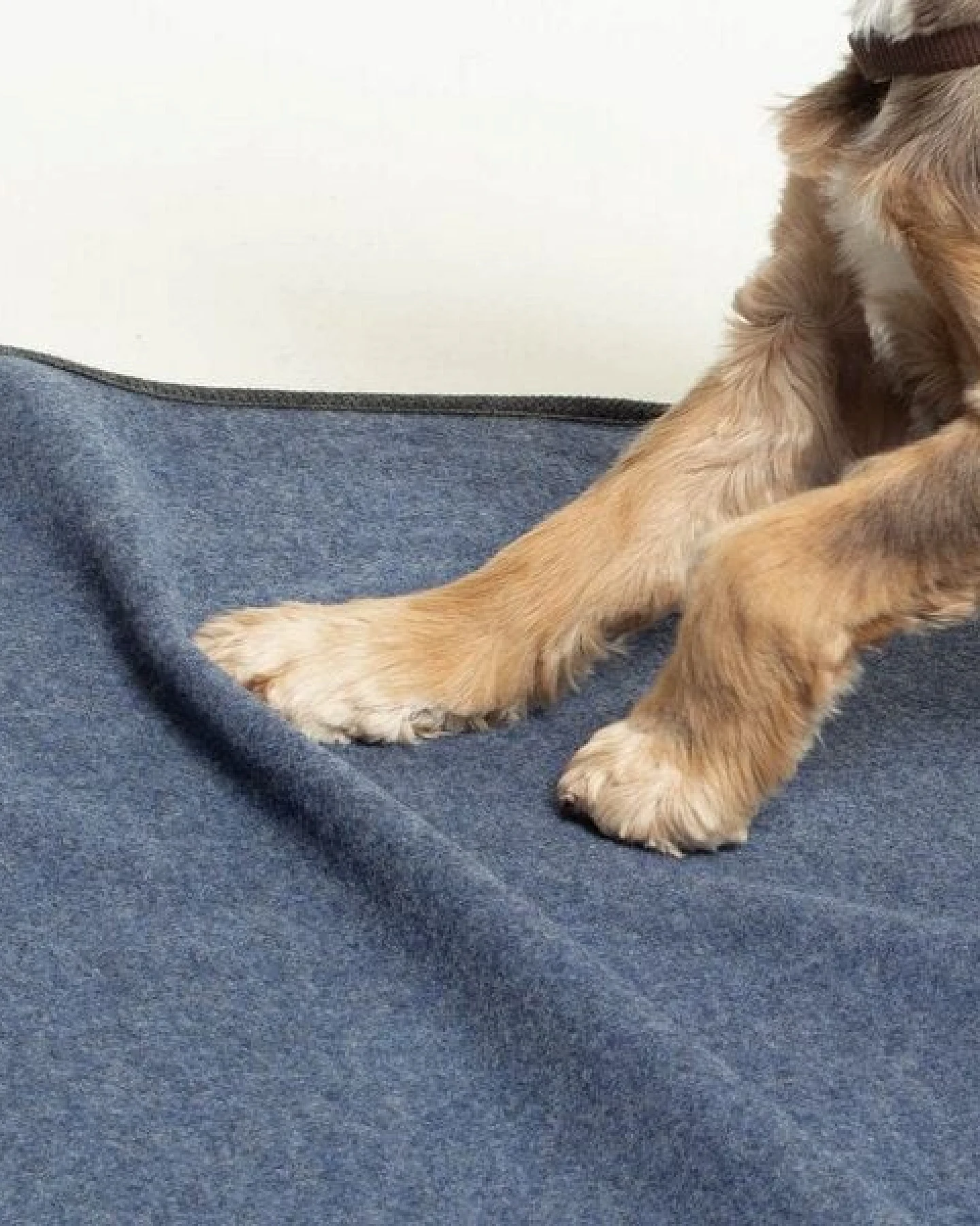 nahtur-design Hundedecke – Ansicht 4