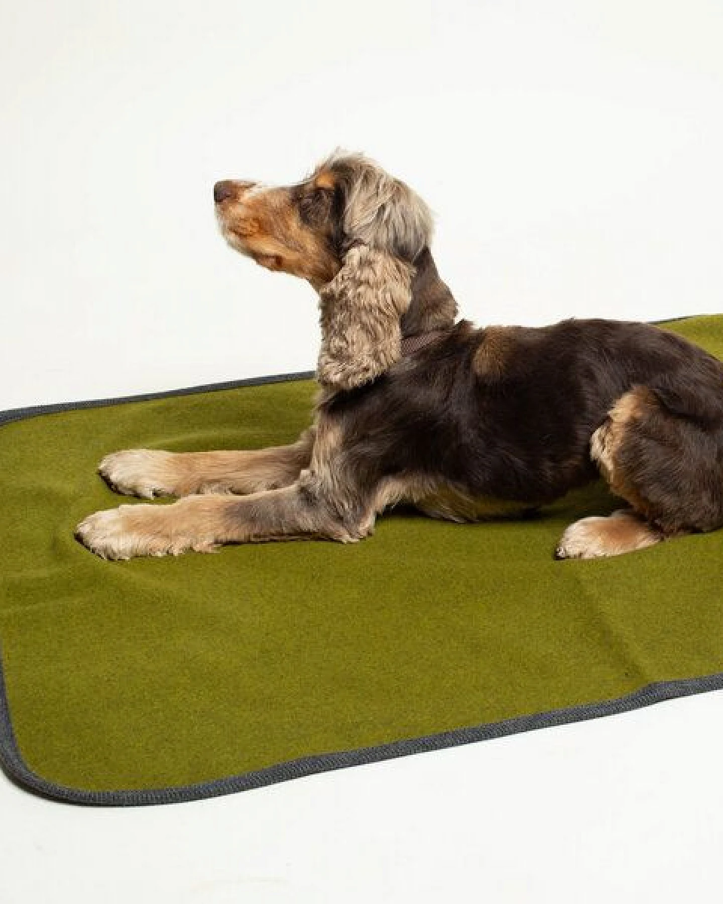 nahtur-design Hundedecke – Ansicht 3