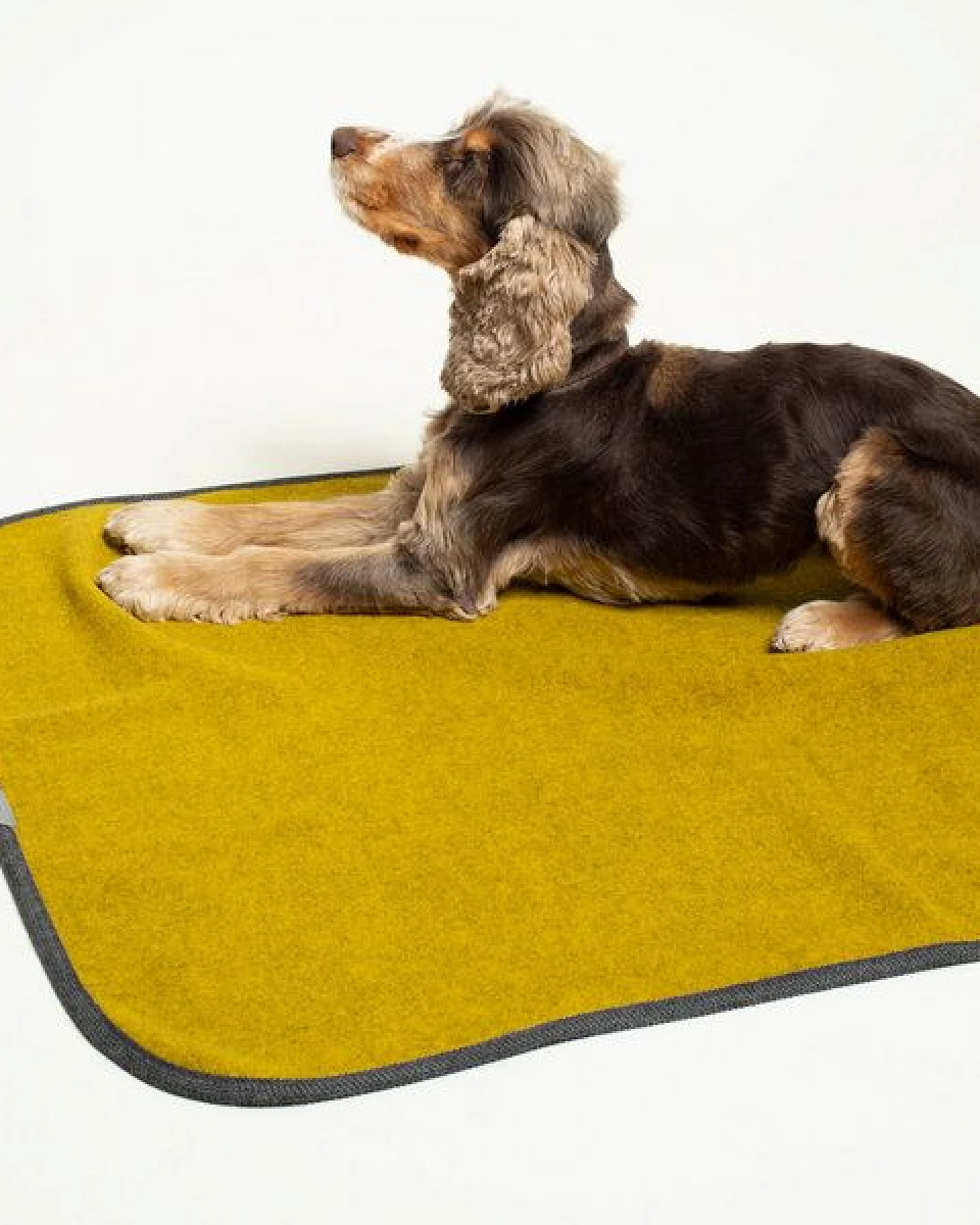 nahtur-design Hundedecke – Ansicht 3