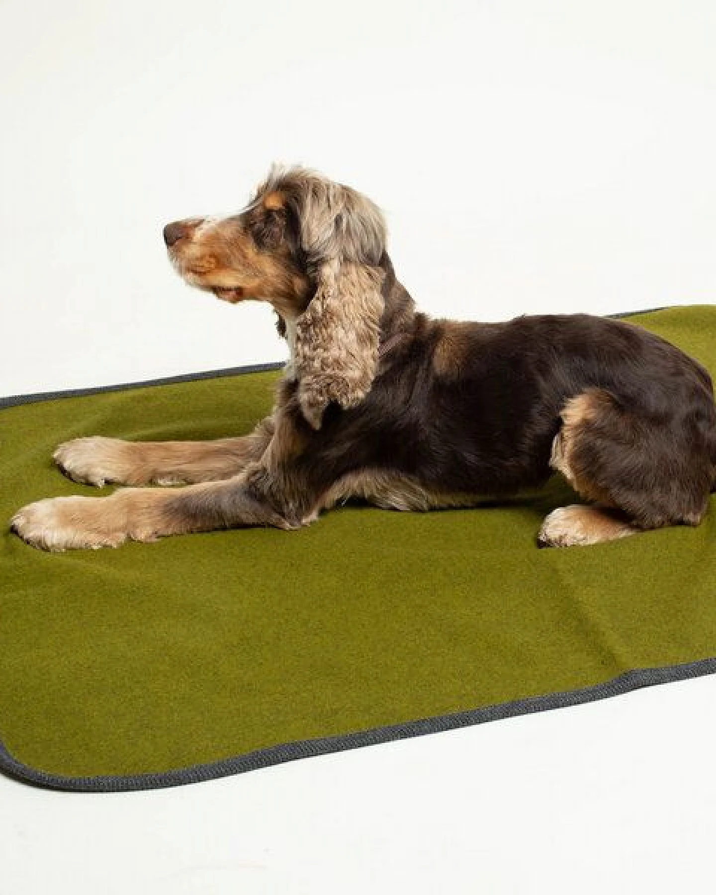 nahtur-design Hundedecke – Ansicht 3