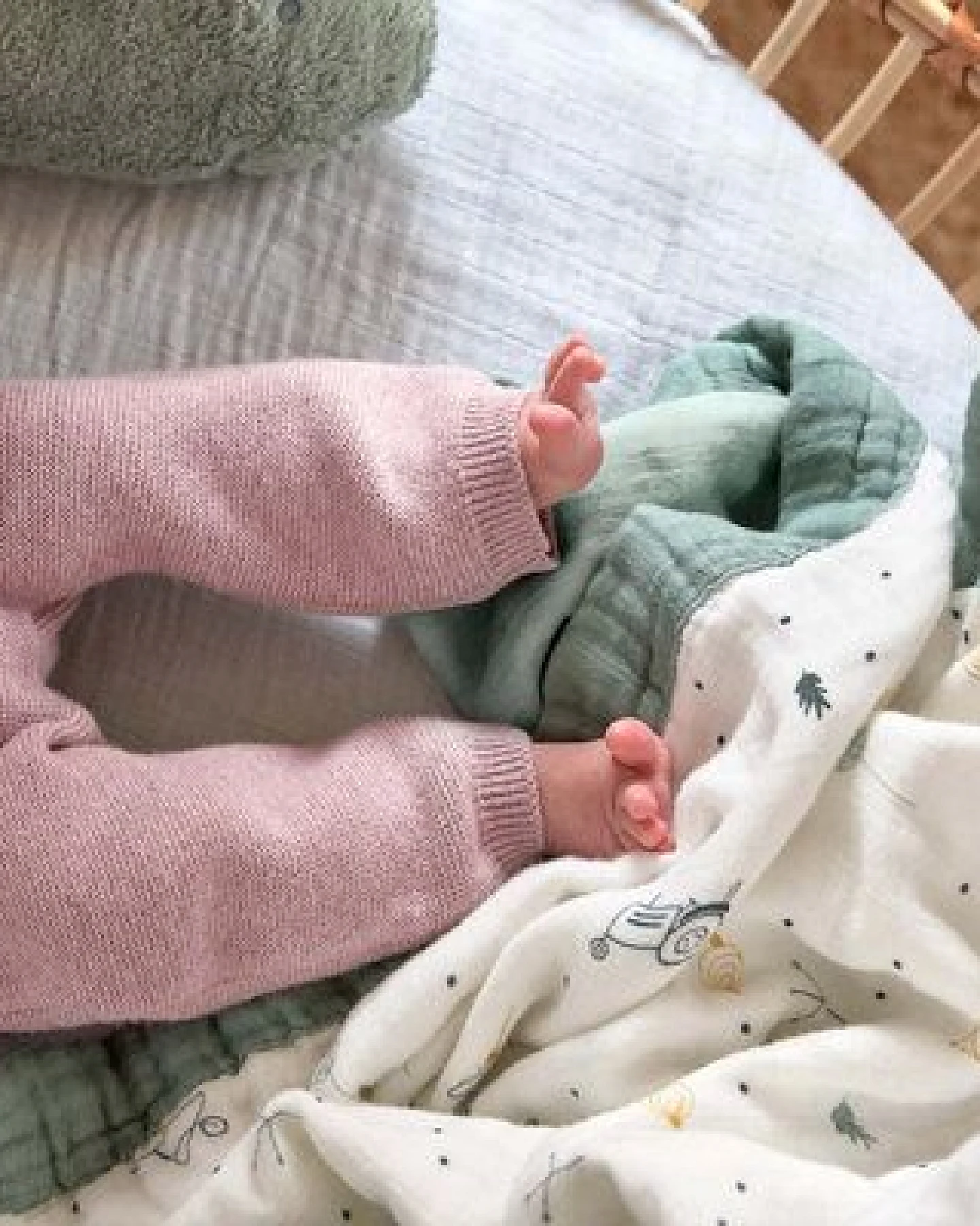Lässig Baby Hose GOTS, Knitted Garden Explorer traumhaft weich – Ansicht 2