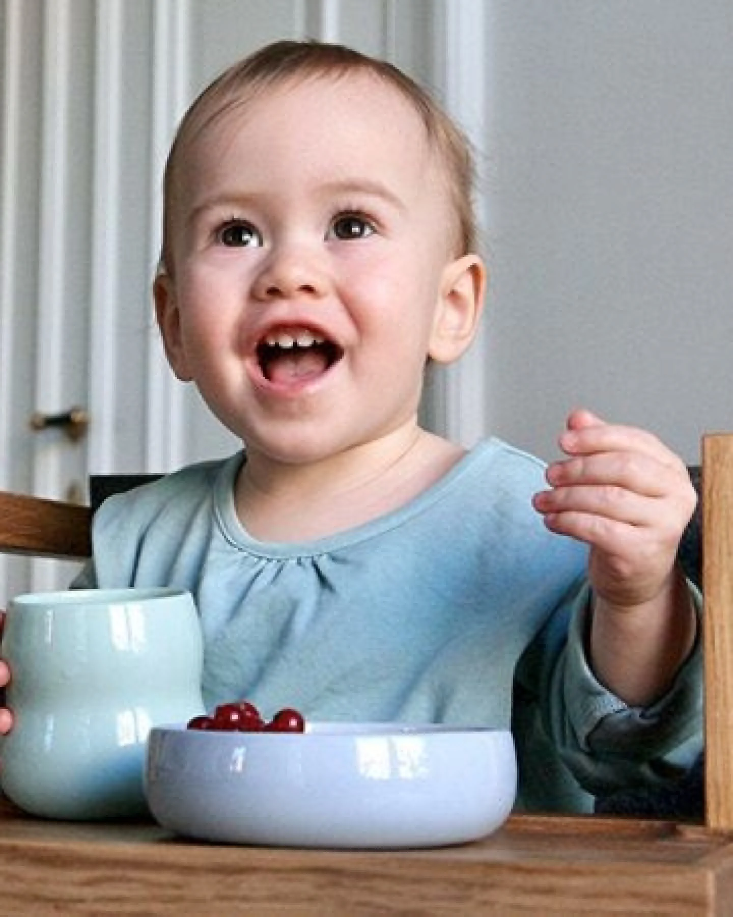 Zaunkönig Porzellanbecher / Kindergeschirr – Ansicht 2