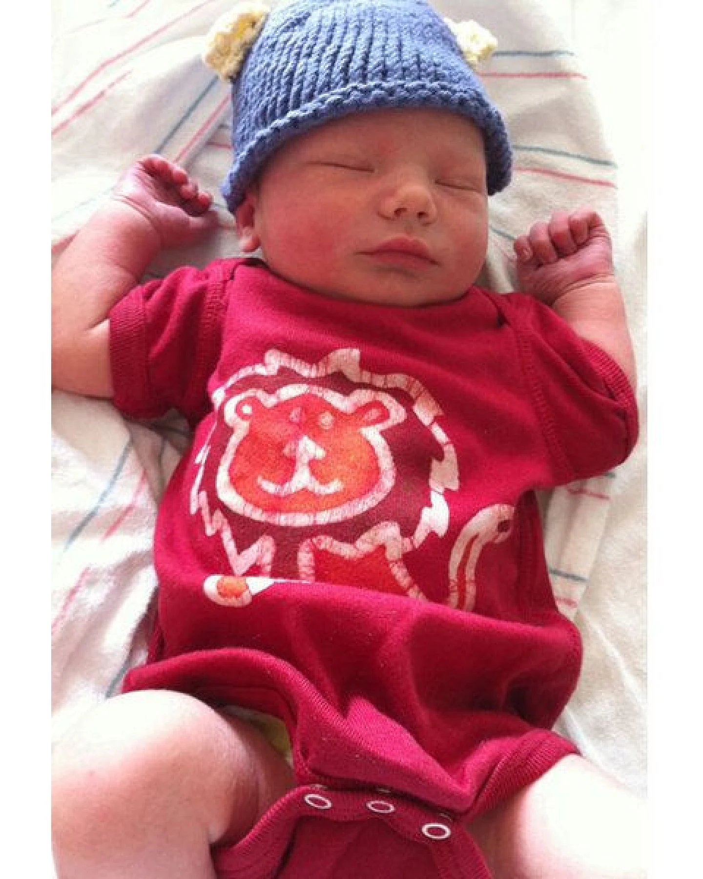 Global Mamas Baby Body - Löwe - Bio Baumwolle - Rot - Kurzarm – Ansicht 3