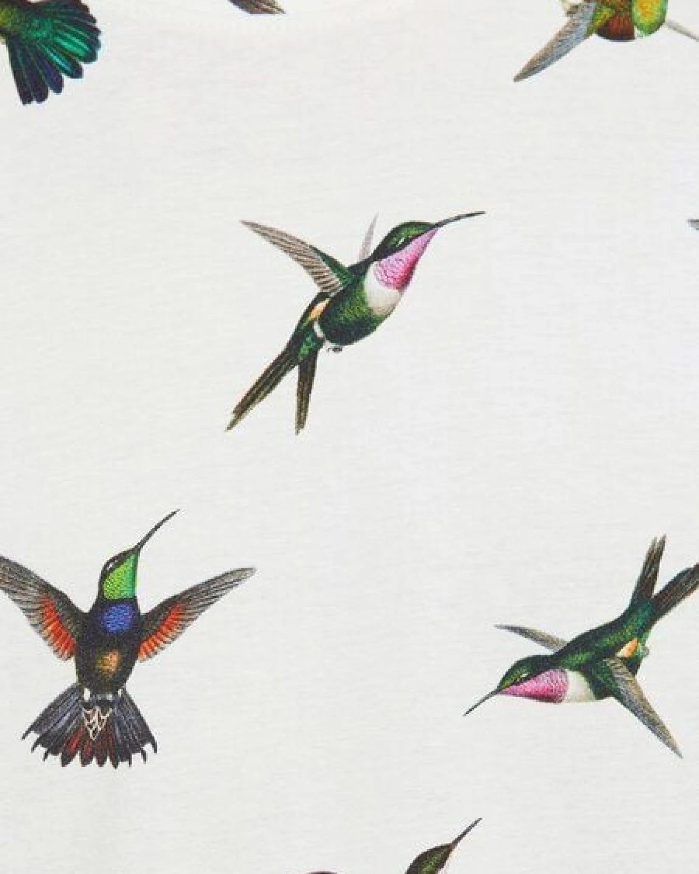 DEDICATED T-Shirt Hummingbirds – Ansicht 4