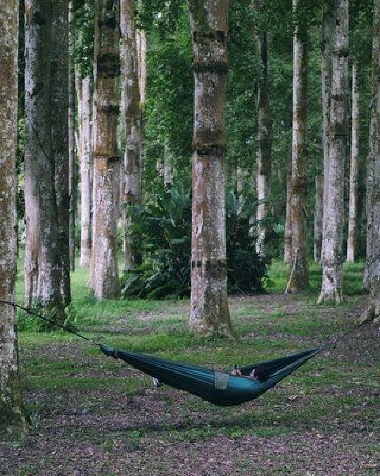 Ticket to the Moon Travel Hammock Original (320 cm × 200 cm) – Ansicht 2