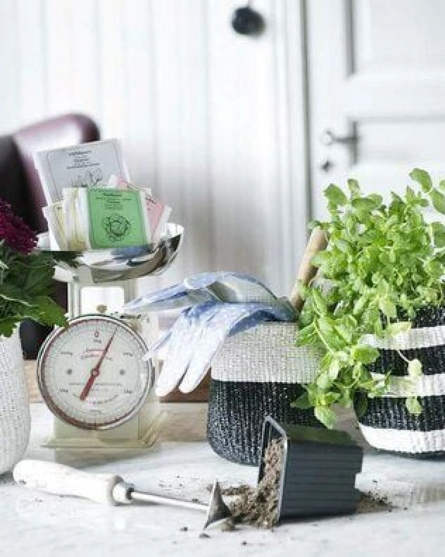 KIONDO Körbe XS - Sisal/Papier Aufbewahrungs- & Pflanzkorb - Mifuko – Ansicht 4