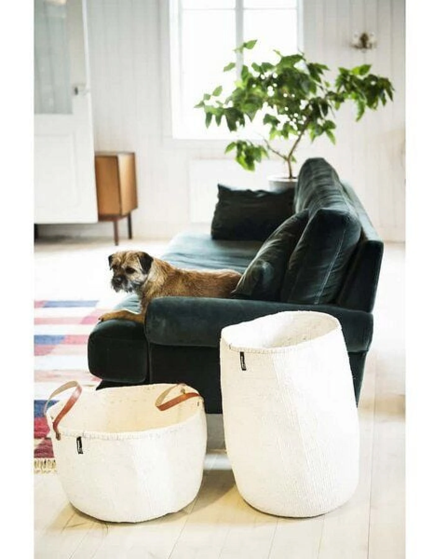 KIONDO Körbe XXL - 3in1 Sisal Tragetasche, Aufbewahrungs- & Pflanzkorb - Mifuko – Ansicht 3