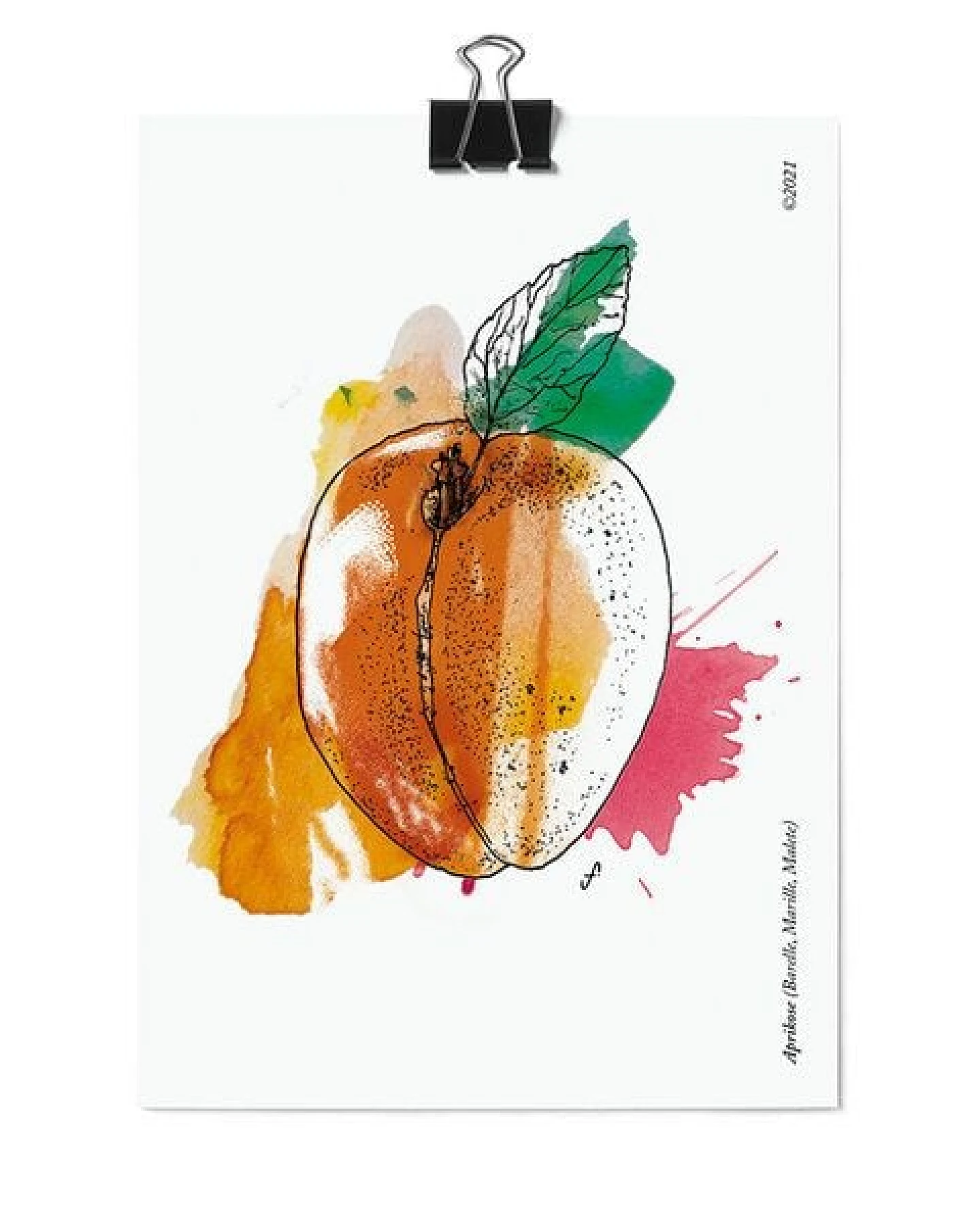 531 Rheinland Design Postkartenset von 16 Obst und Gemüsesorten: Geschenkkarten – Ansicht 4