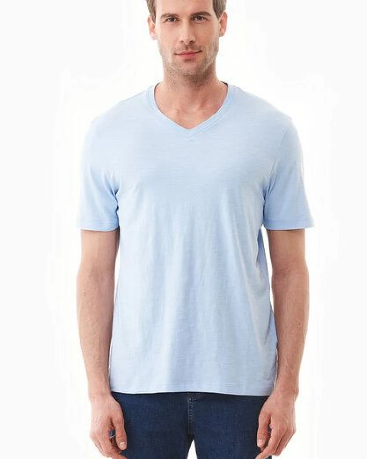 ORGANICATION Basic T-Shirt aus Bio-Baumwolle mit V-Ausschnitt