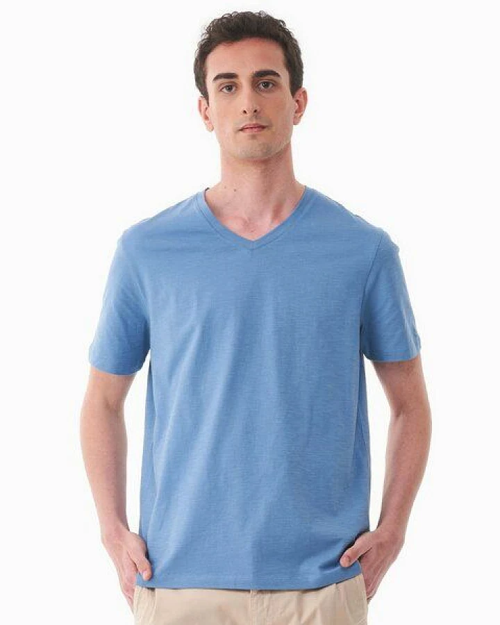 Coronet Blue