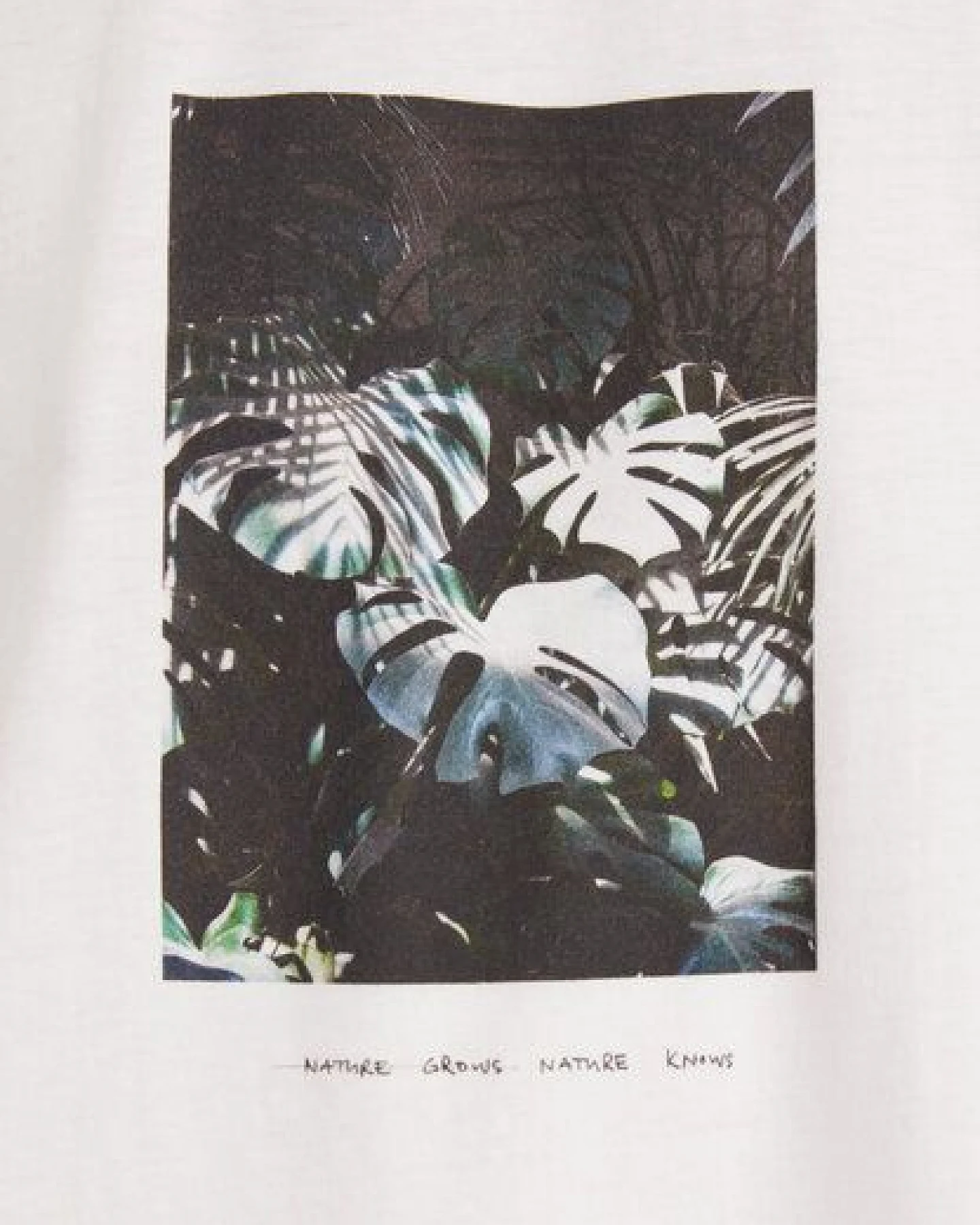 ARMEDANGELS MIAA NATURE KNOWS - Damen T-Shirt aus Bio-Baumwolle – Ansicht 2