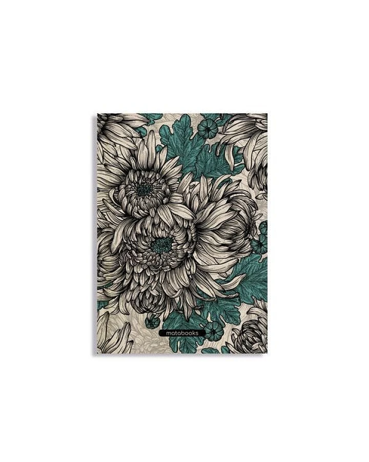 Chrysanthemum