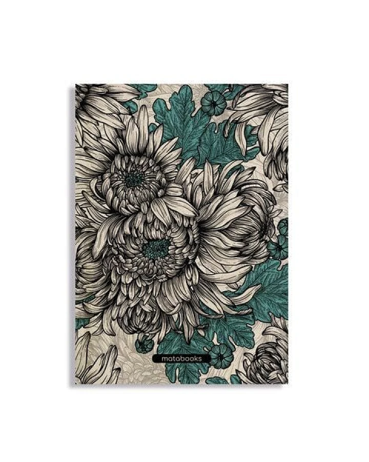 Chrysanthemum