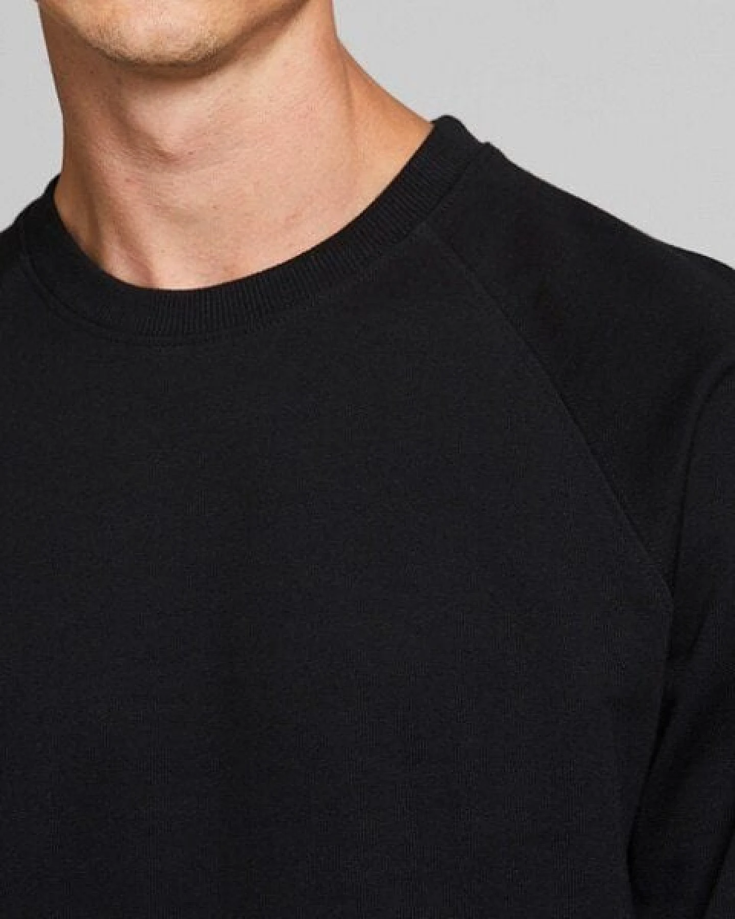DEDICATED Sweatshirt Malmoe Base aus Bio-Baumwolle – Ansicht 4