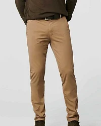 Braun (camel)