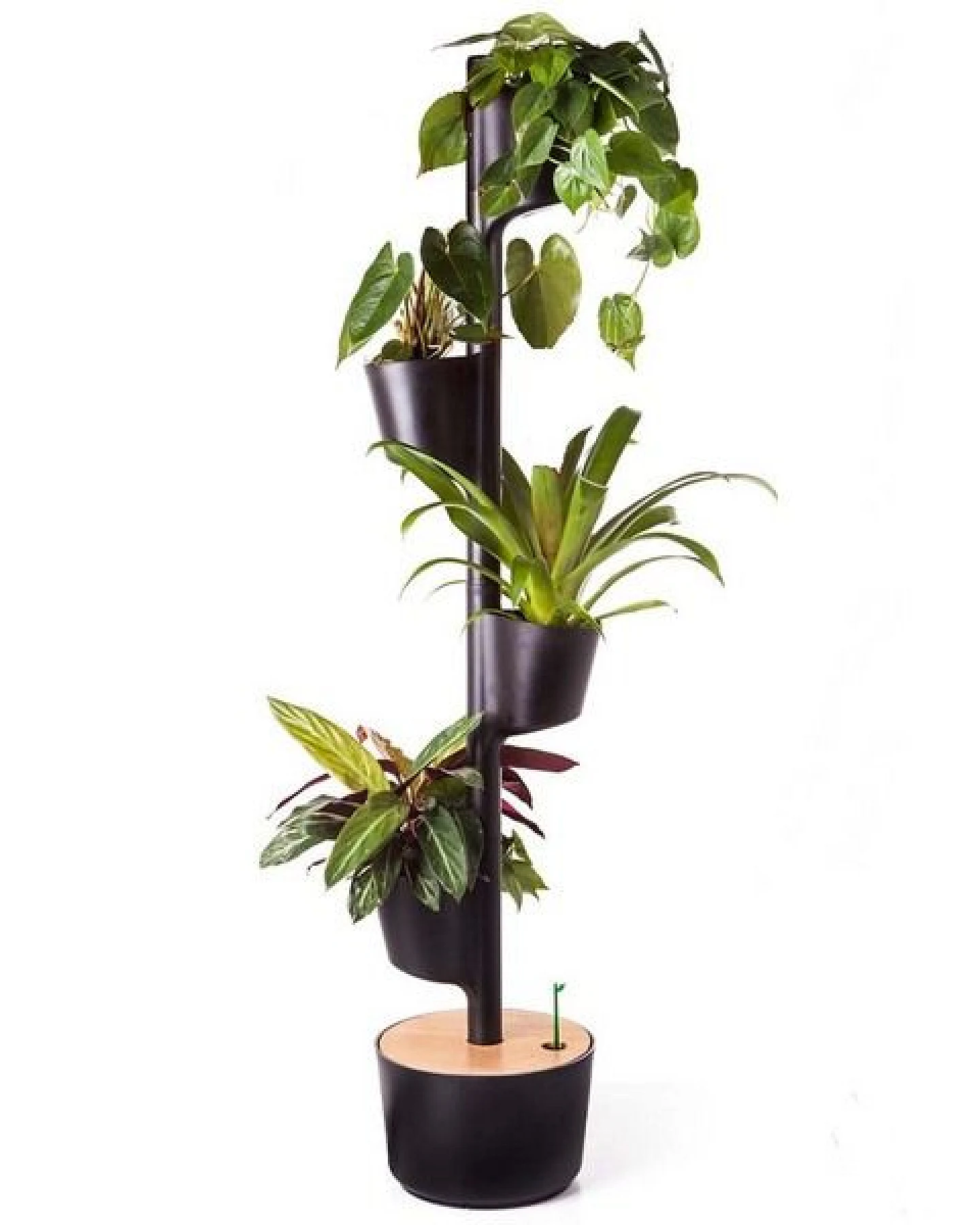 CitySens Vertikaler Blumentopf mit 4 luftreinigenden Pflanzen – Ansicht 2