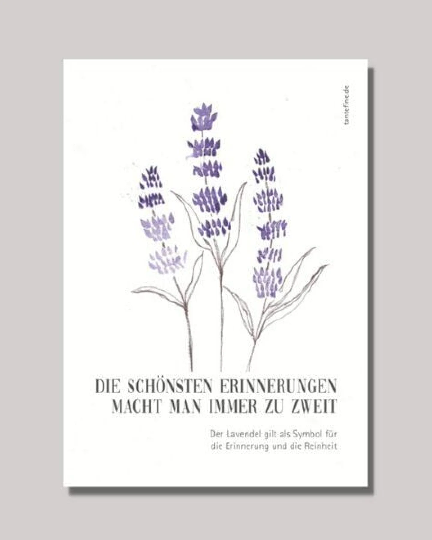 Fines Papeterie Grußkarten Set mit Kräutern – Ansicht 3