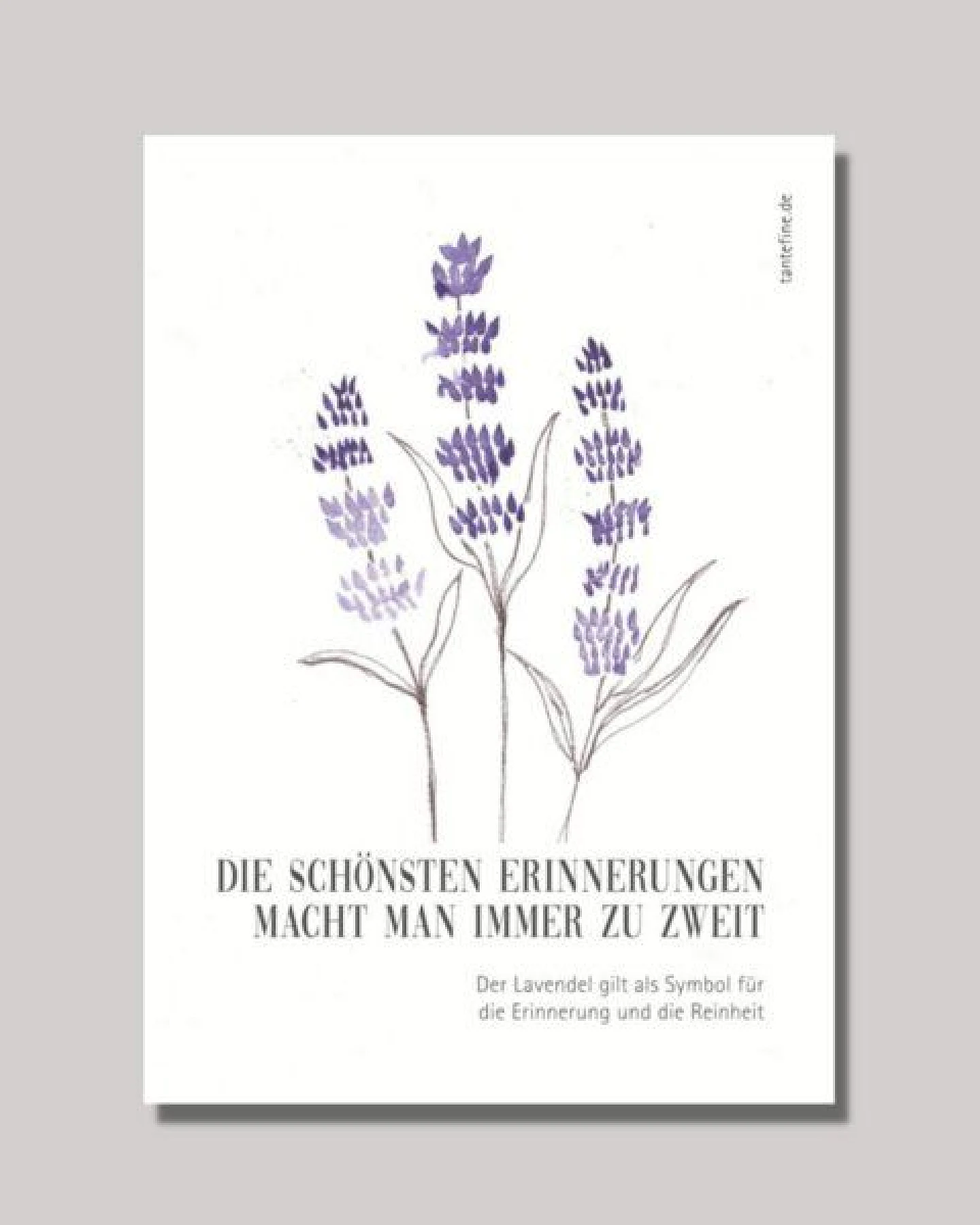 Fines Papeterie Grußkarten Set mit Kräutern – Ansicht 3