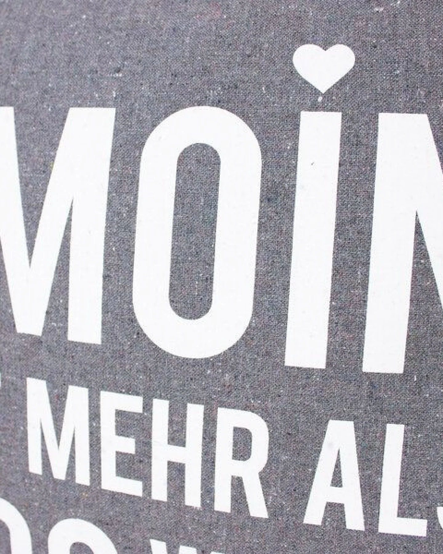 Bow & Hummingbird Kissenbezug "Ein Moin sagt mehr ..." – Ansicht 2