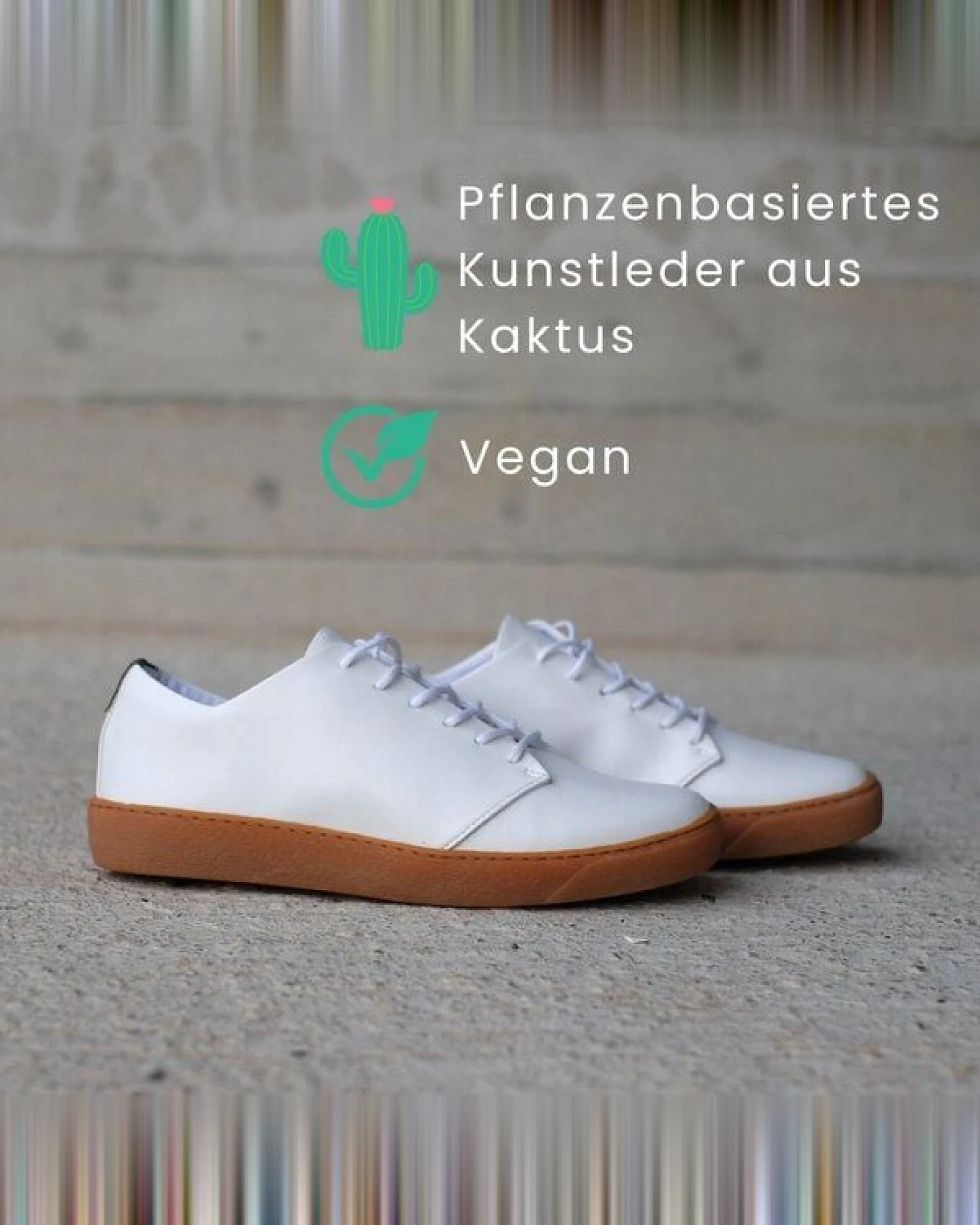 SORBAS '82v Sneaker vegane Sneaker aus Kaktus – Ansicht 4