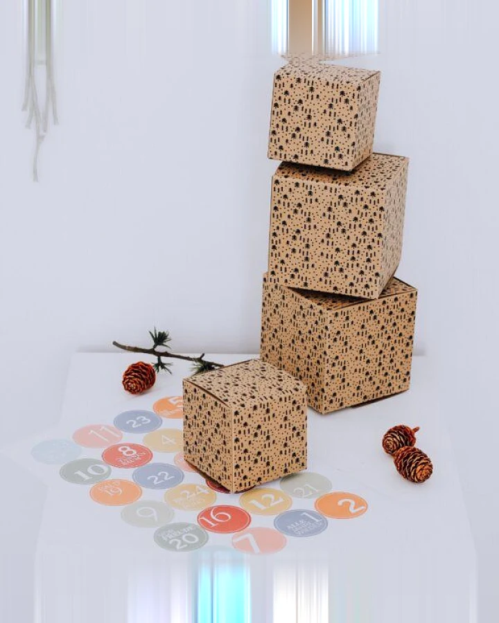 Fines Papeterie 24 Schachteln für Adventskalender und Zahlen PASTELL