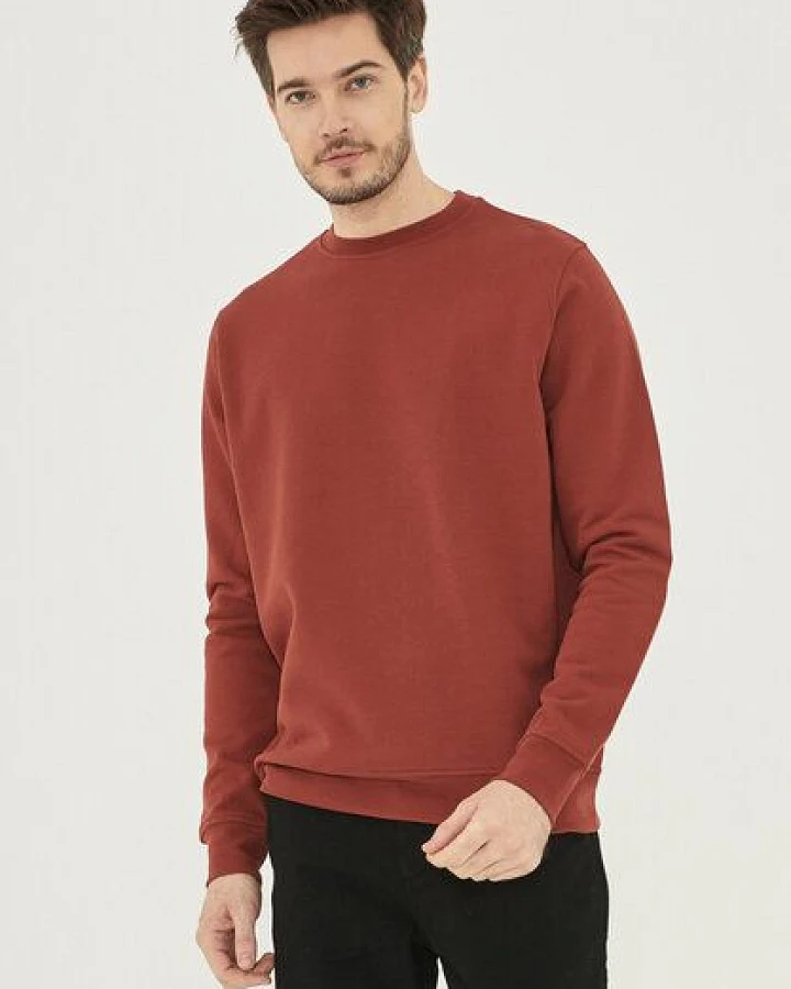 ORGANICATION Sweatshirt aus Bio-Baumwolle