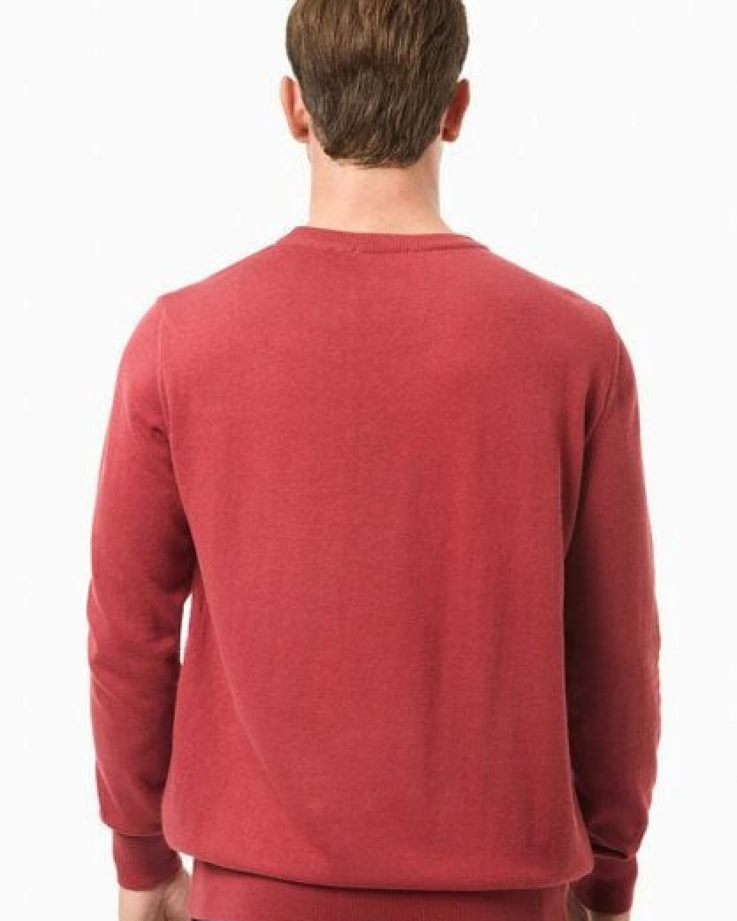 ORGANICATION Pullover aus Bio-Baumwolle – Ansicht 4