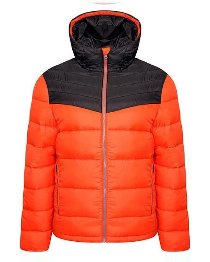 Dare 2B Skijacke Hot Shot Hooded Winterjacke Steppjacke Recycelt mit Kapuze