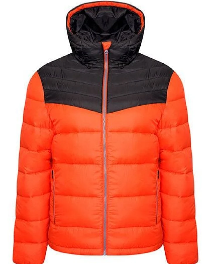 Dare 2B Skijacke Hot Shot Hooded Winterjacke Steppjacke Recycelt mit Kapuze