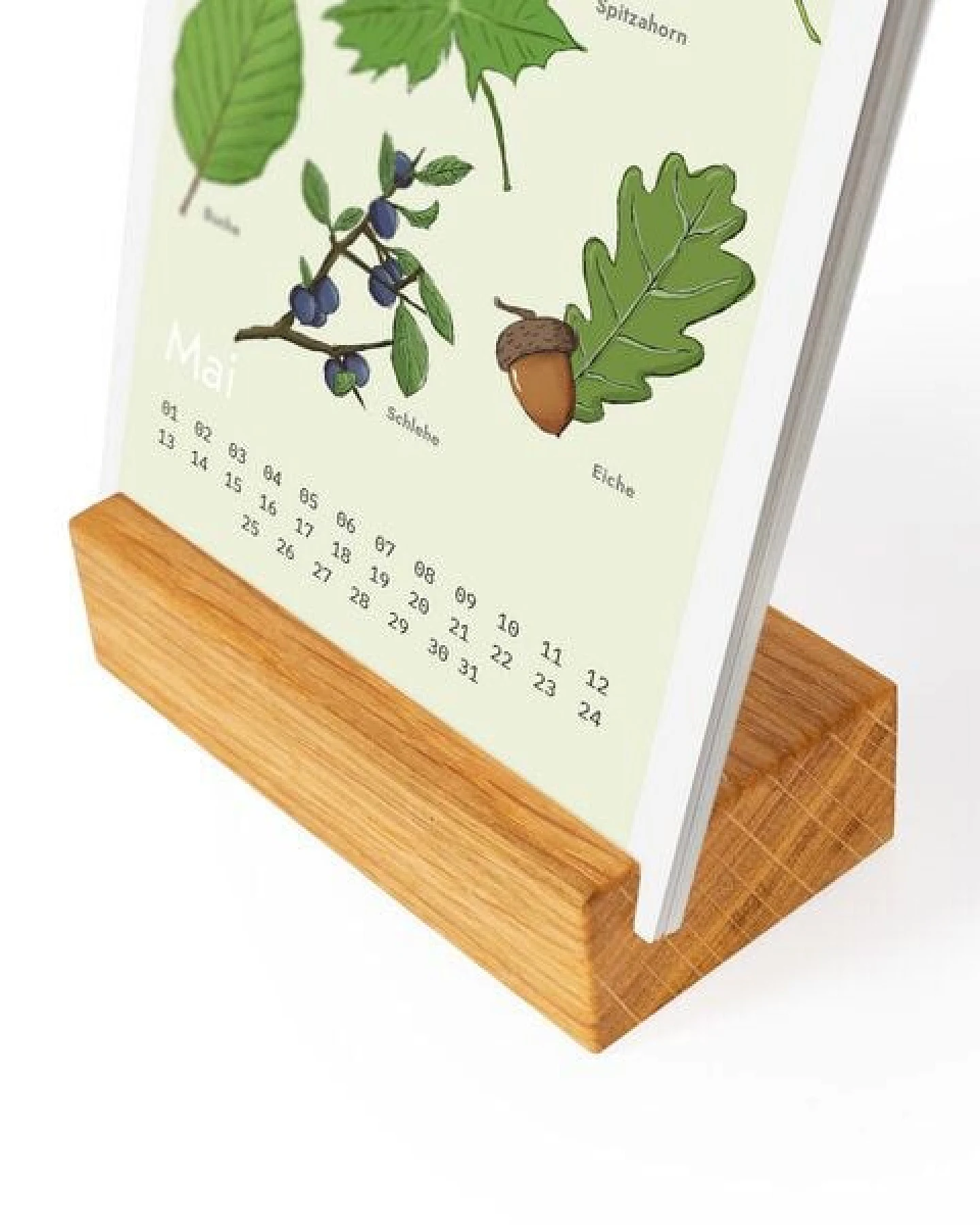 klotzaufklotz Waldkalender – Ansicht 2