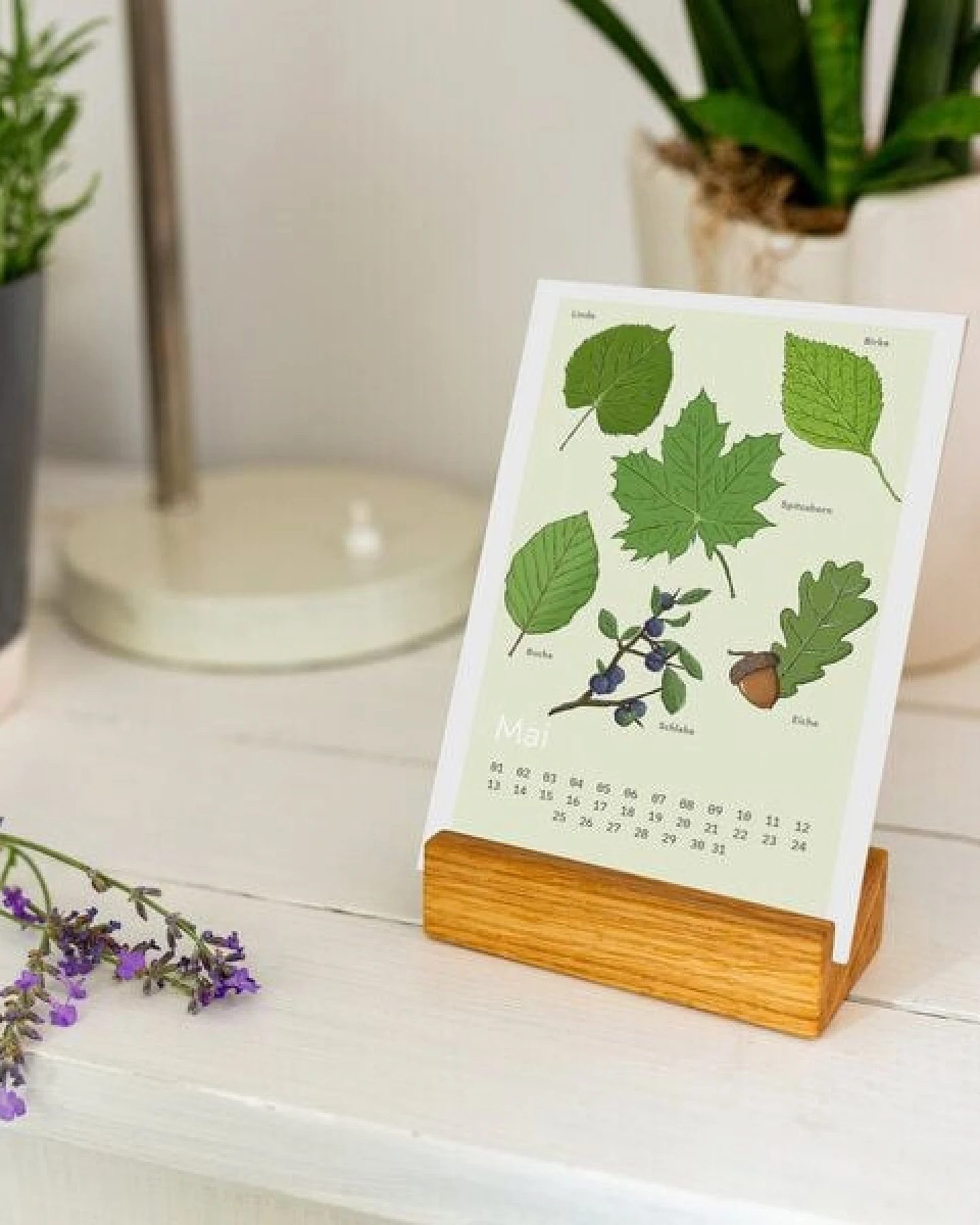 klotzaufklotz Waldkalender – Ansicht 4