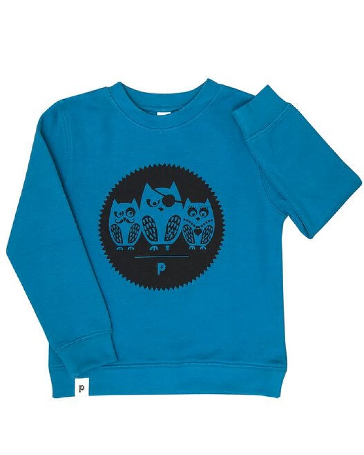 päfjes Die Eulen 3er Gang - Kinder Bio Sweater - Organic Cotton - Blau