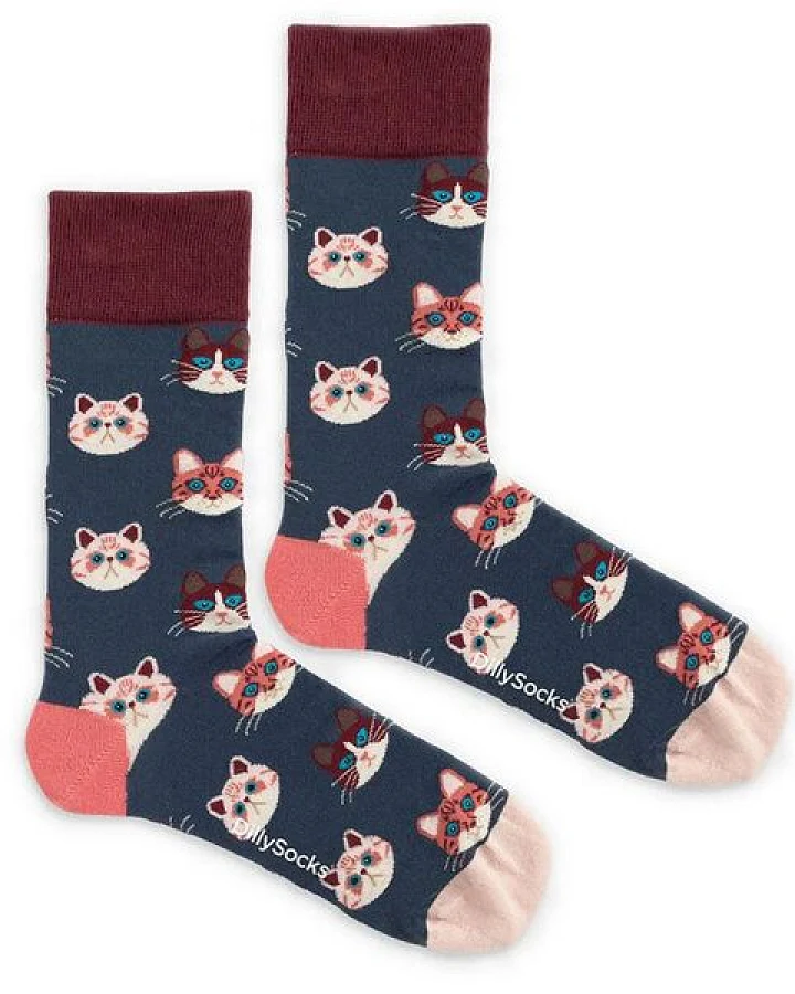 DillySocks Socken Kitten aus Biobaumwoll-Mix