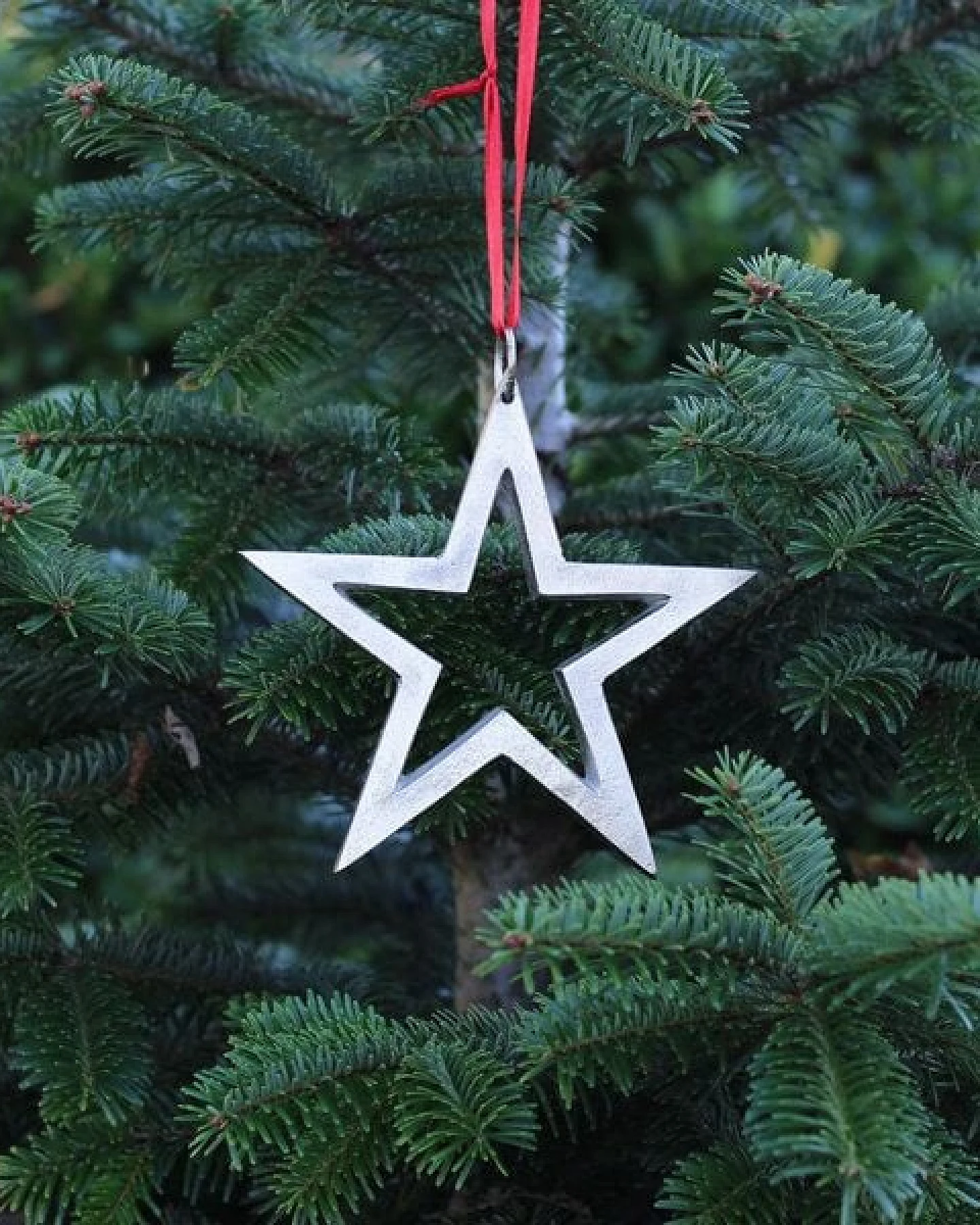 Mitienda Shop Sternhänger silber, Weihnachdeko zum Aufhängen – Ansicht 4