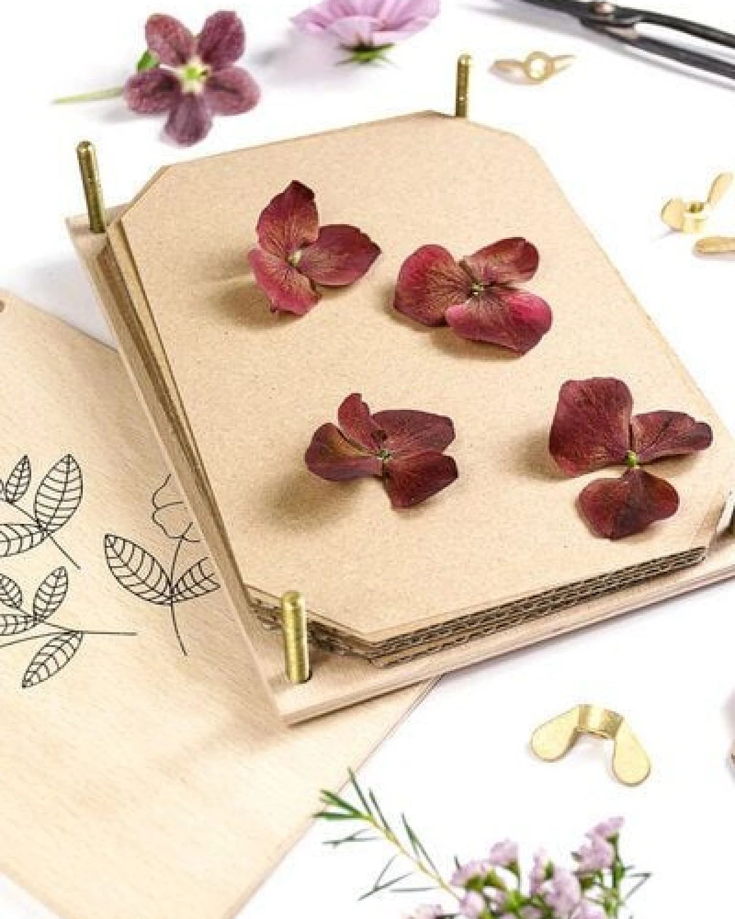 STUDIO KARAMELO BLUMENPRESSE aus Buchenholz HECKENROSE – Ansicht 3