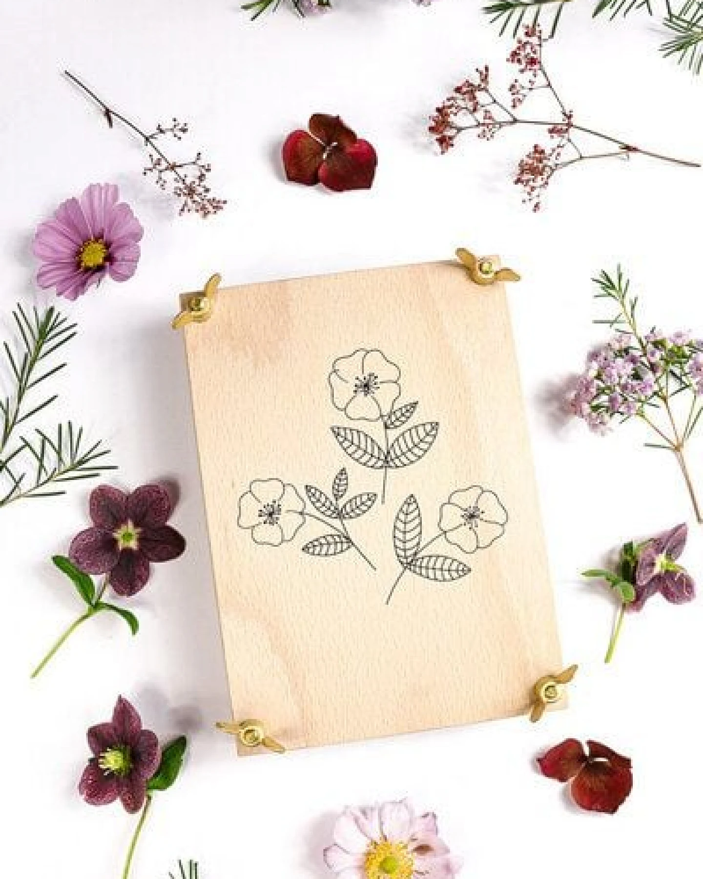 STUDIO KARAMELO BLUMENPRESSE aus Buchenholz HECKENROSE – Ansicht 4