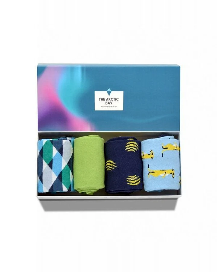 The Arctic Bay Die Arctic Box - Allegro-Edition - 4 Paar Socken