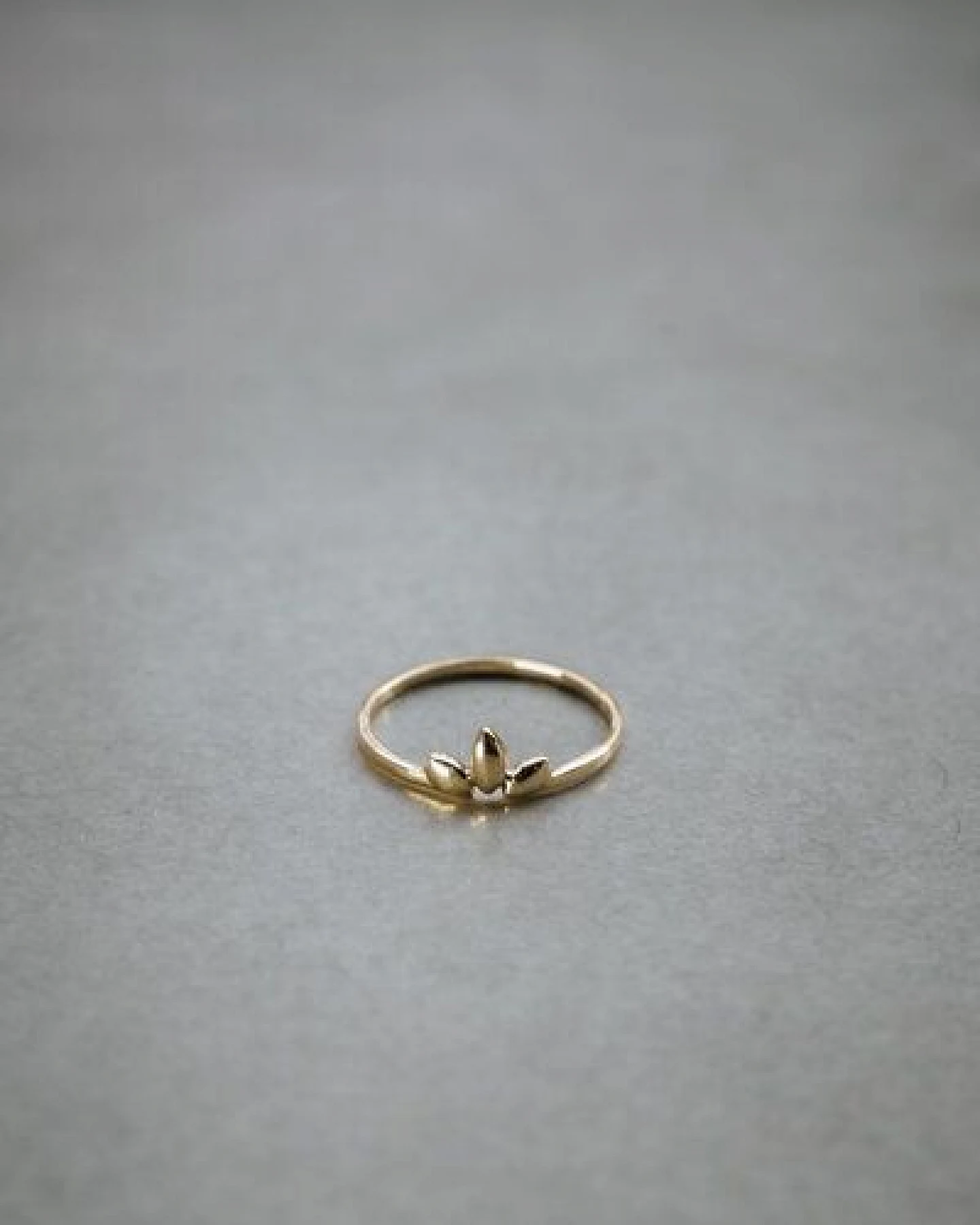Jyoti - Fair Works Ring Paudha Messing – Ansicht 4