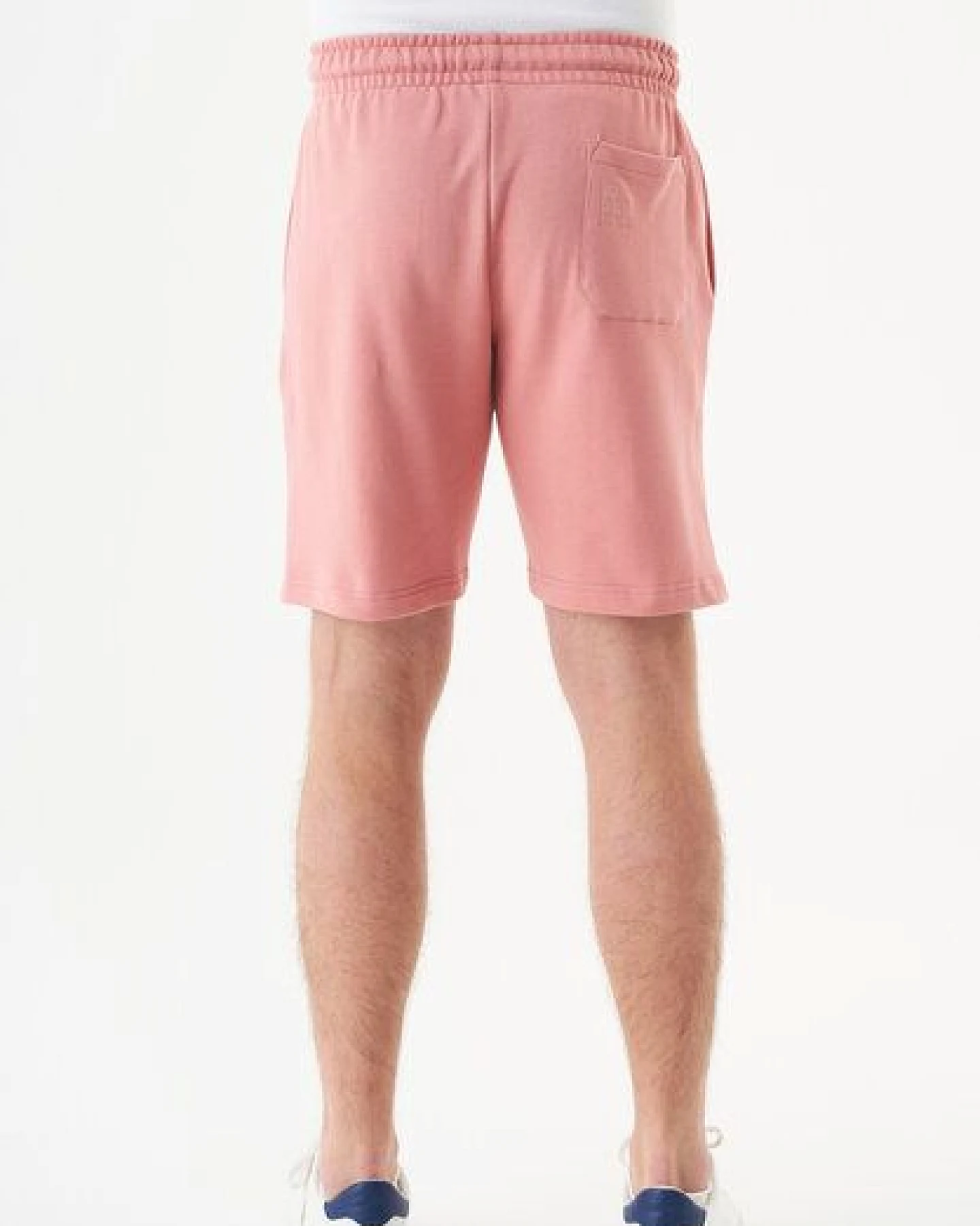 ORGANICATION ESSENTIALS-SHADI- Shorts aus Bio-Baumwolle – Ansicht 4