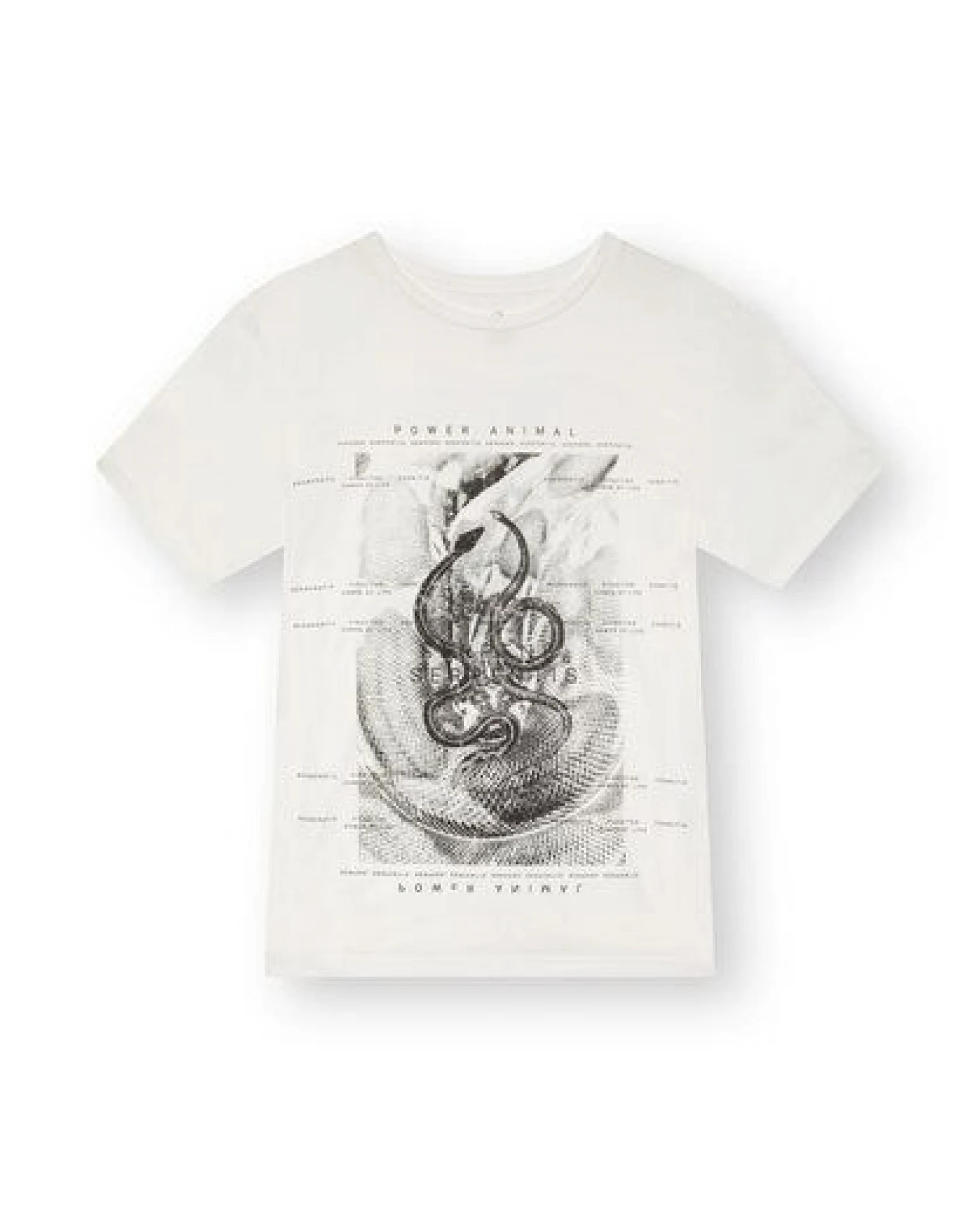 ThokkThokk Herren Print T-Shirt SERPENS aus Biobaumwolle – Ansicht 4