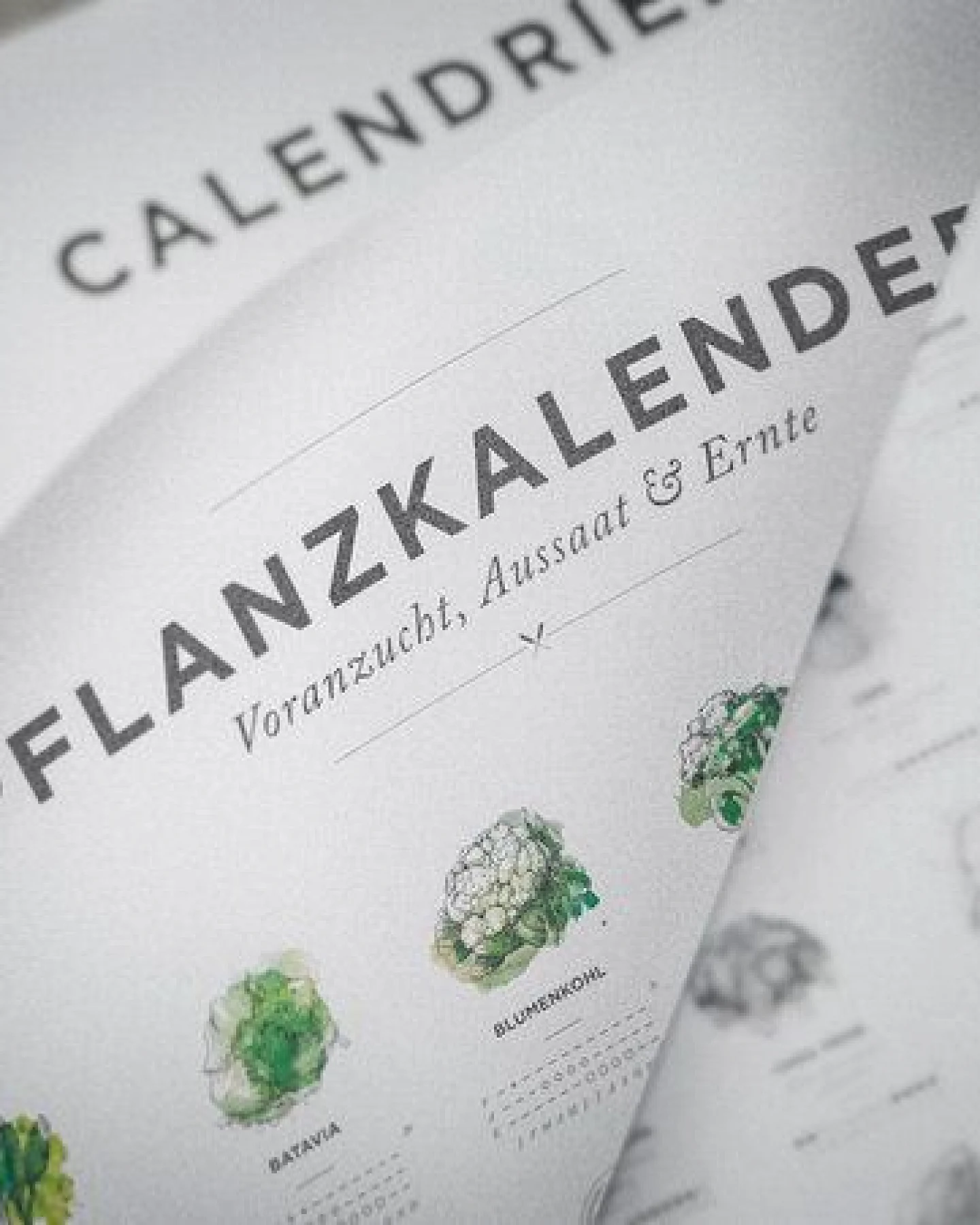 531 Rheinland Design Pflanzkalender und Aussaatkalender für den Garten als Poster – Ansicht 3