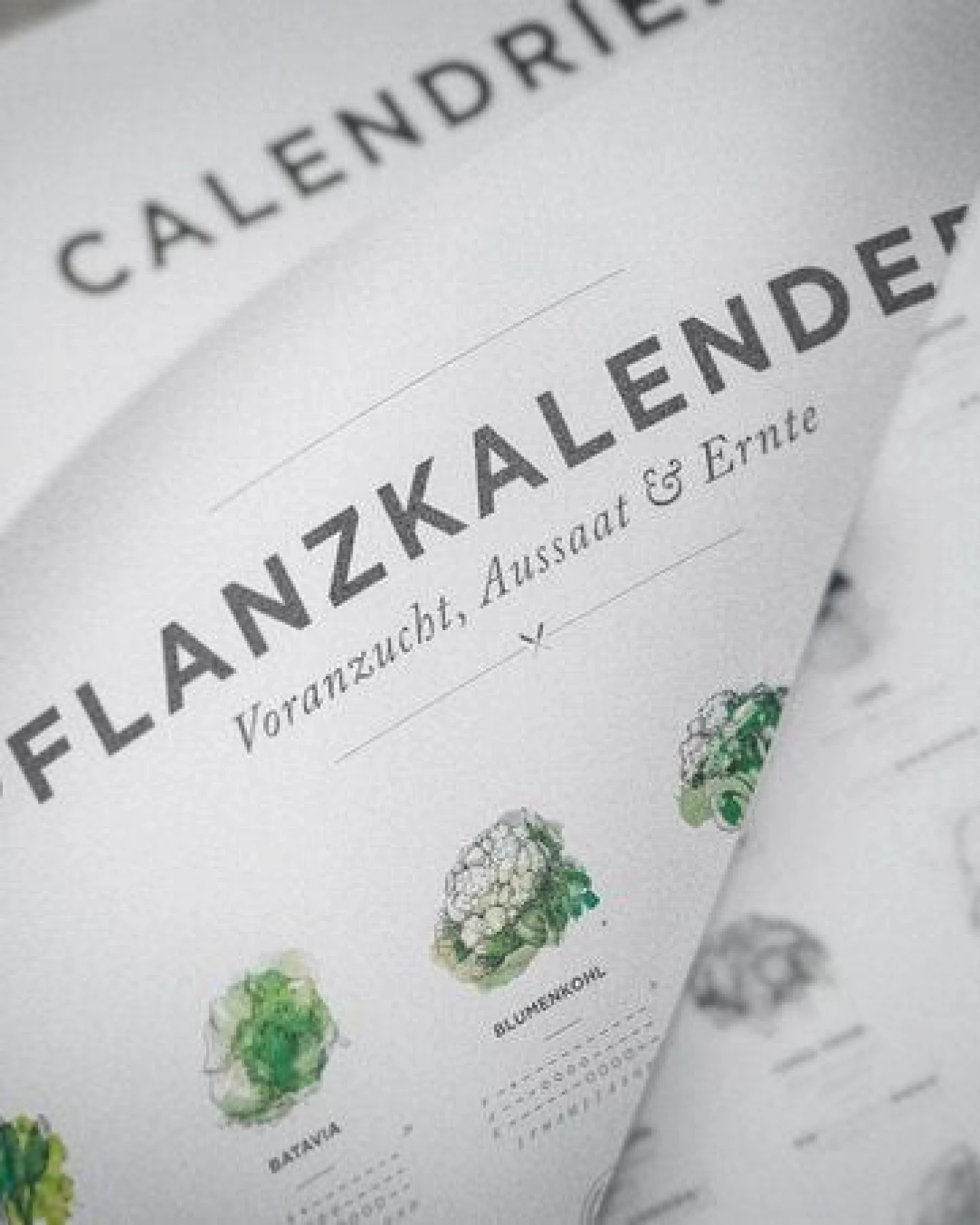 531 Rheinland Design Pflanzkalender und Aussaatkalender für den Garten als Poster – Ansicht 3
